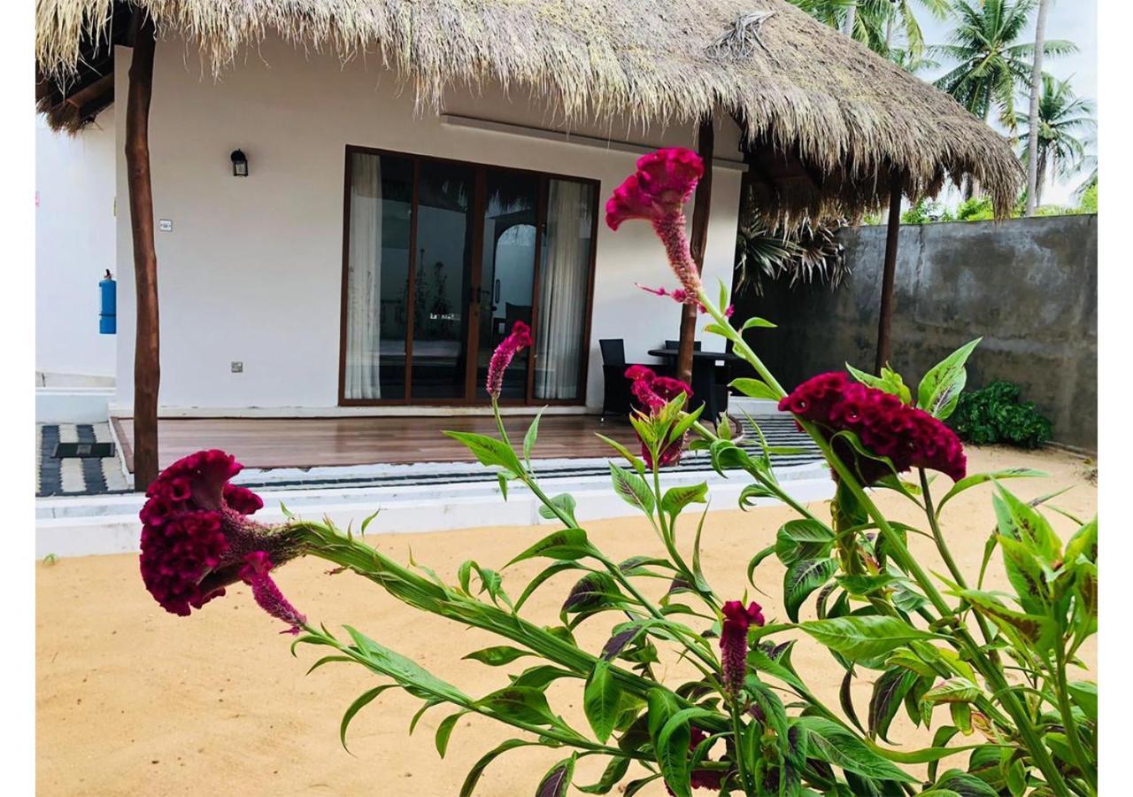 The Blue Lagoon Resort Kalpitiya Exteriér fotografie